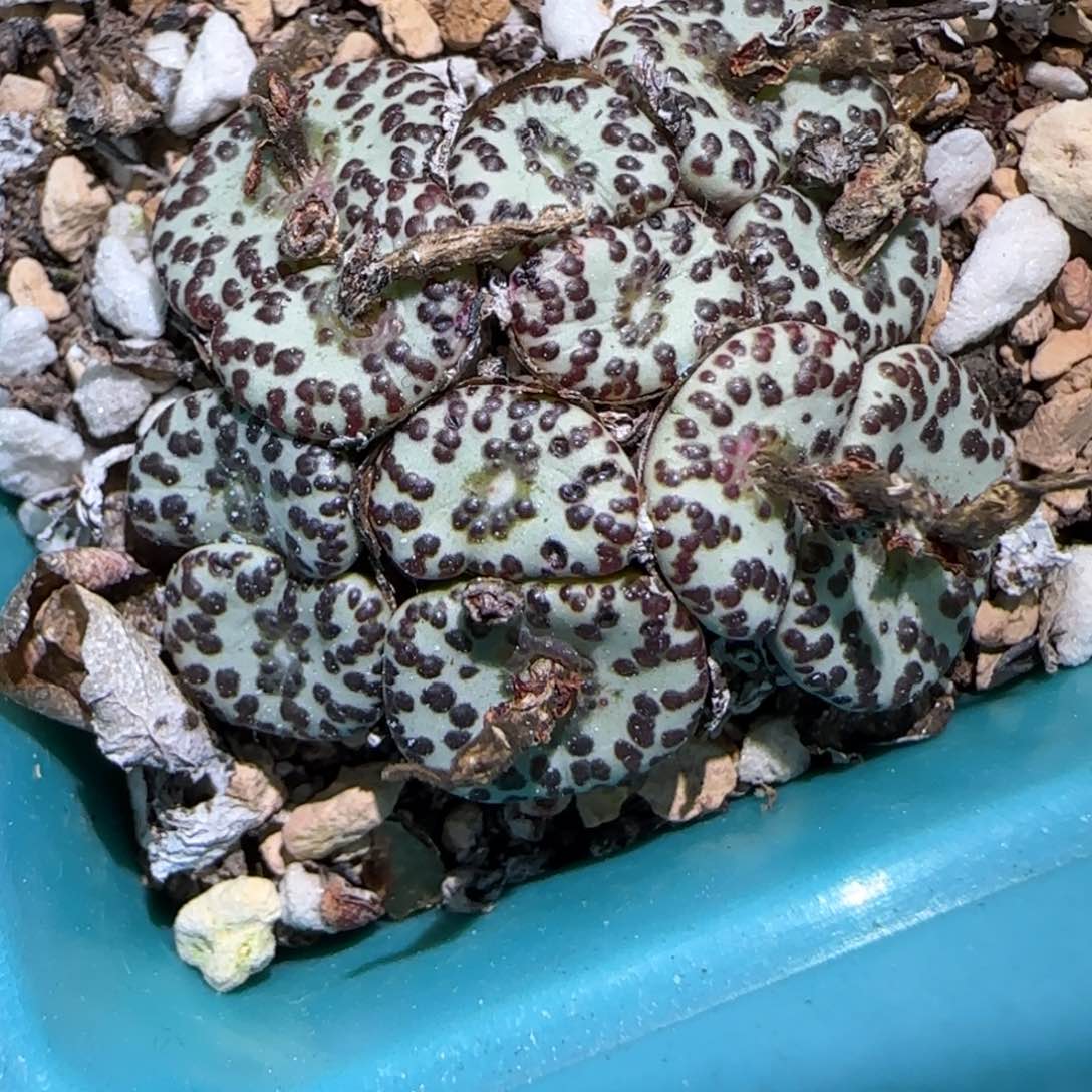 1.22，最好安贞，9020