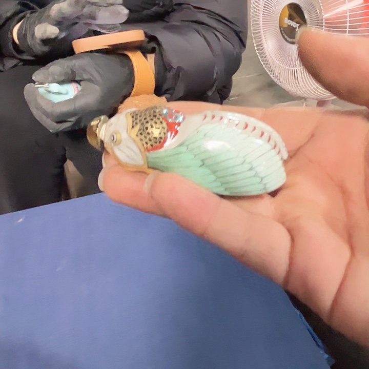 陶其他景德镇高温瓷鼻烟壶