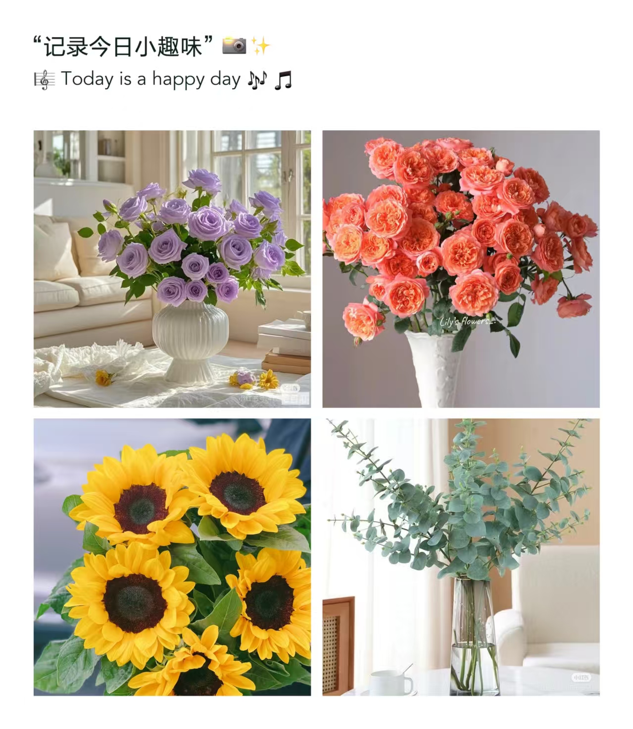 紫霞仙子+橙色芭比+向日葵+尤加利 组合鲜花