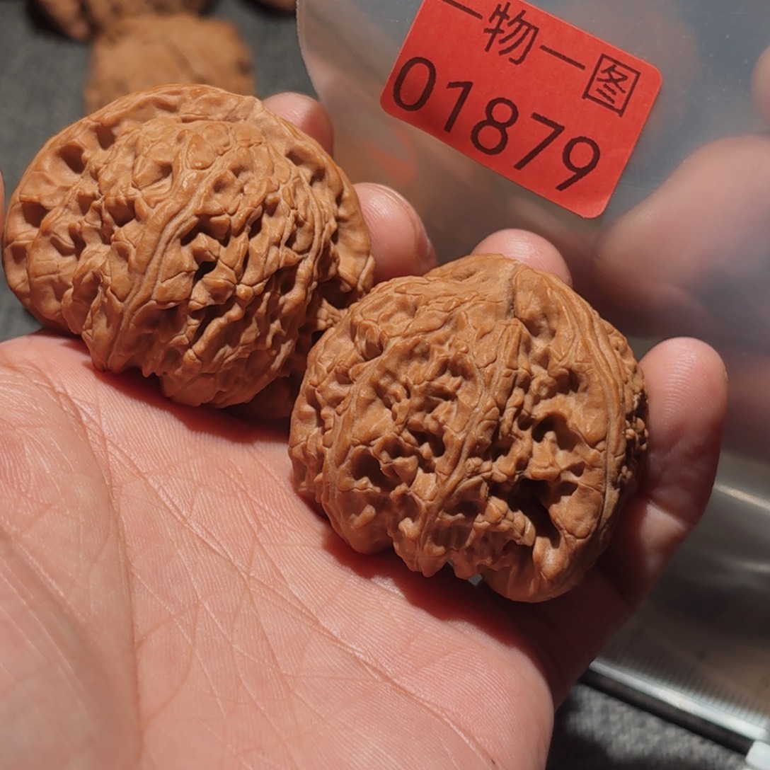 文玩核桃把件白狮子