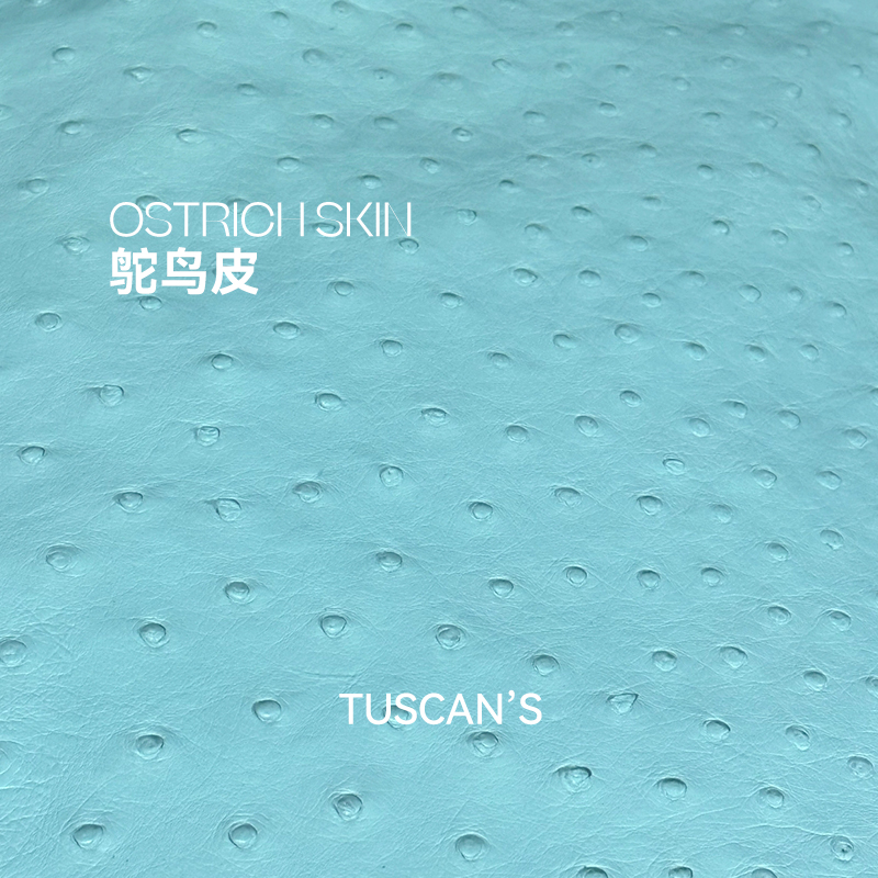 TUSCAN'S【鸵鸟皮小香风】甄选气质手提包时代双鱼女包