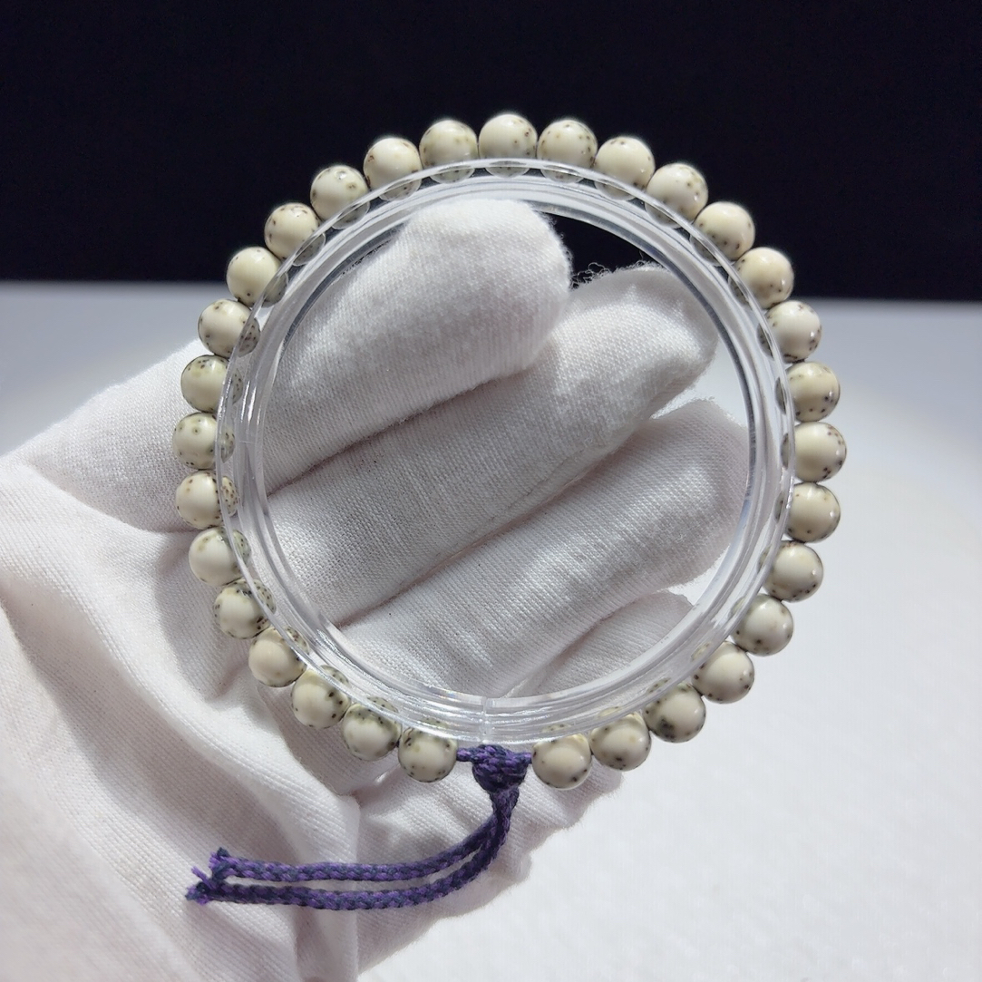 一物一图【原生态】7圆河豚，海南毛感料石玉骨瓷白同枝果，针尖星。