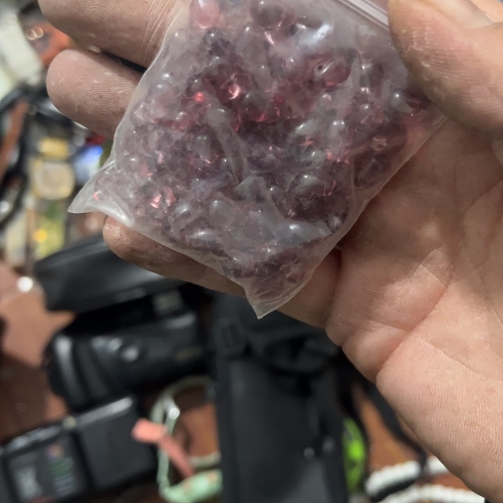 戏***生杂色豆（科檀/科特迪瓦檀木）