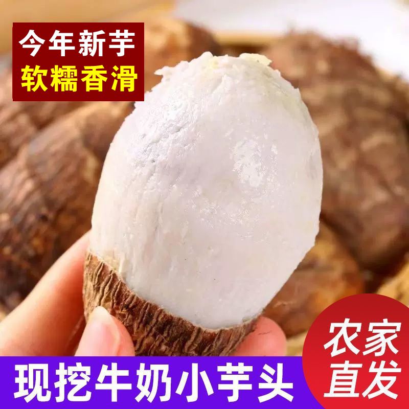 【今年新芋头】贵州牛奶小芋头新鲜现挖毛芋奶香芋软糯农家芋仔蔬菜