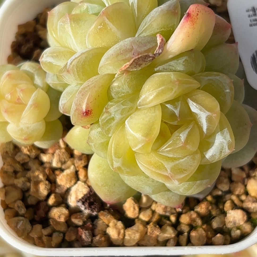 040的最后一天了啊我的天