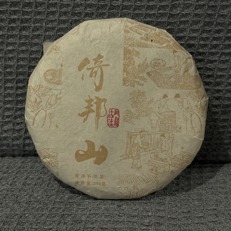 2023年倚邦山古树