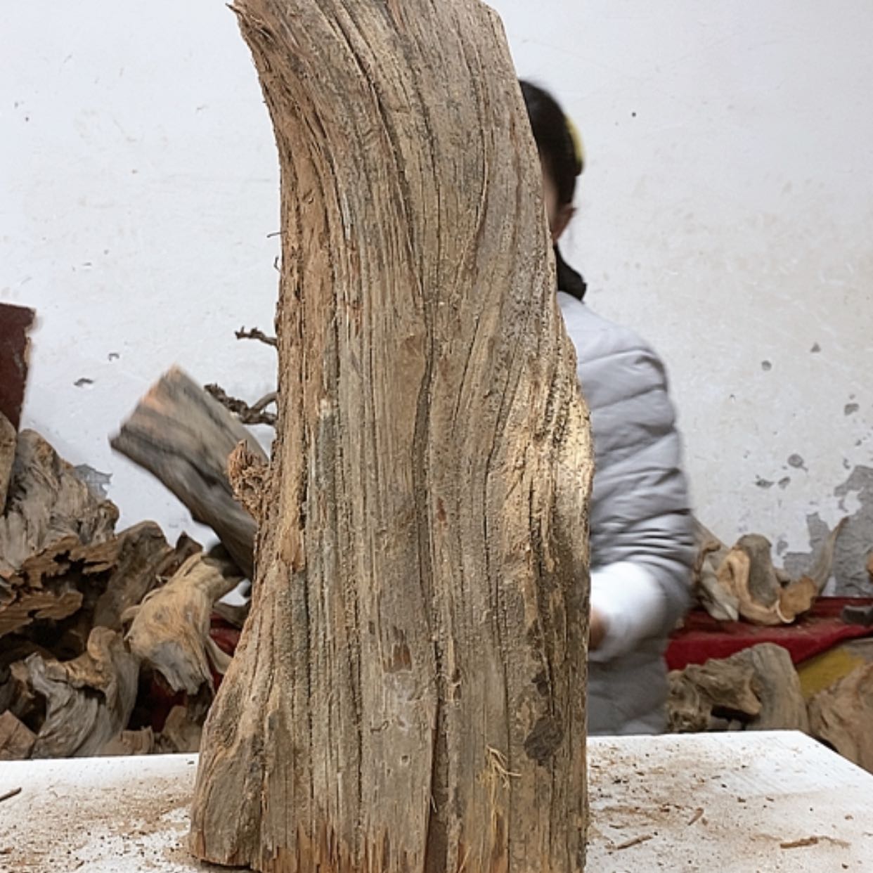 【闪购商品】柏木哈*我们都是好孩子