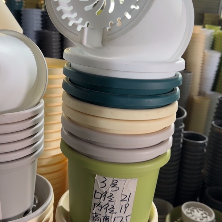 四季3#口径21无托纯白10个