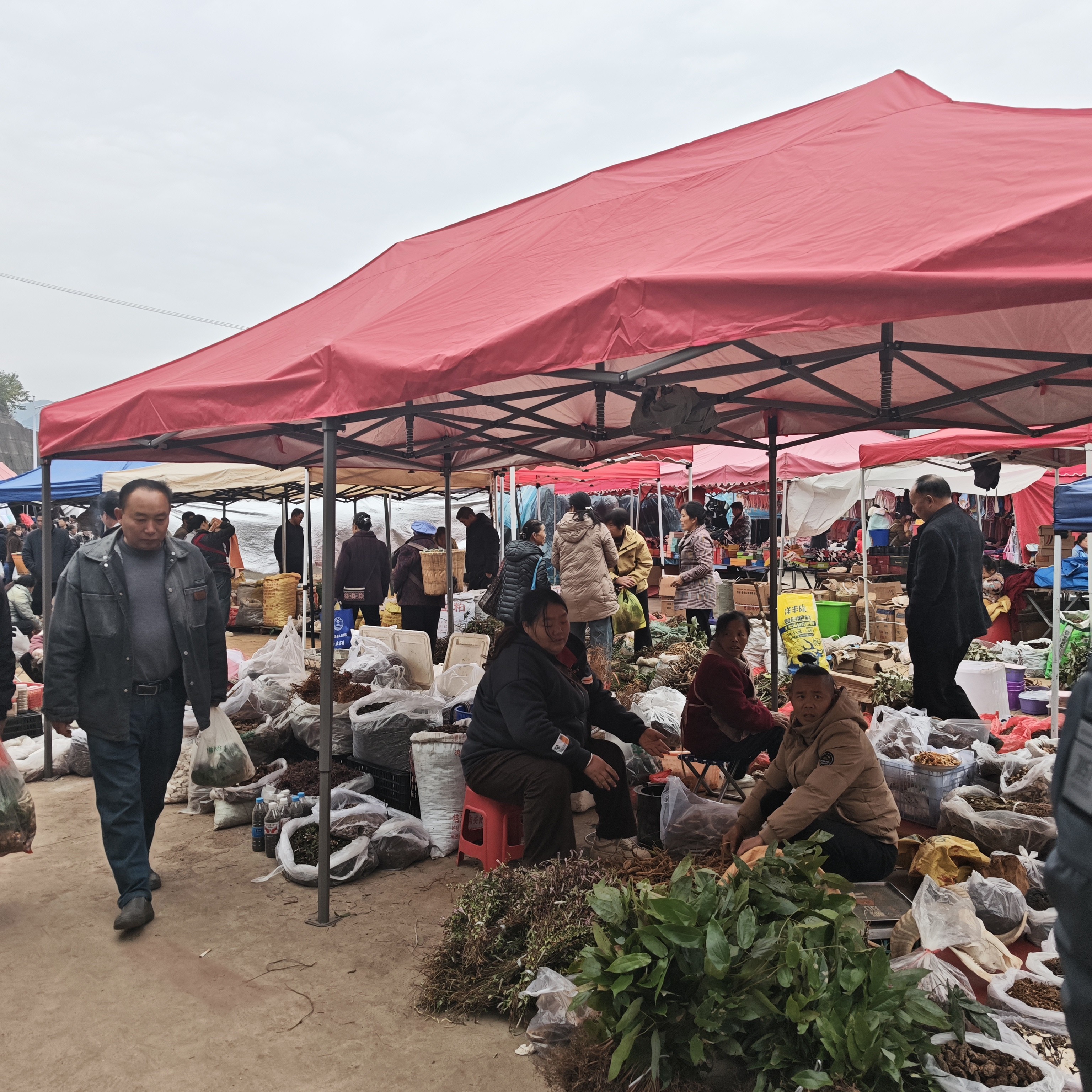【赶集代买3】贵州集市赶集代买山货百合党参等