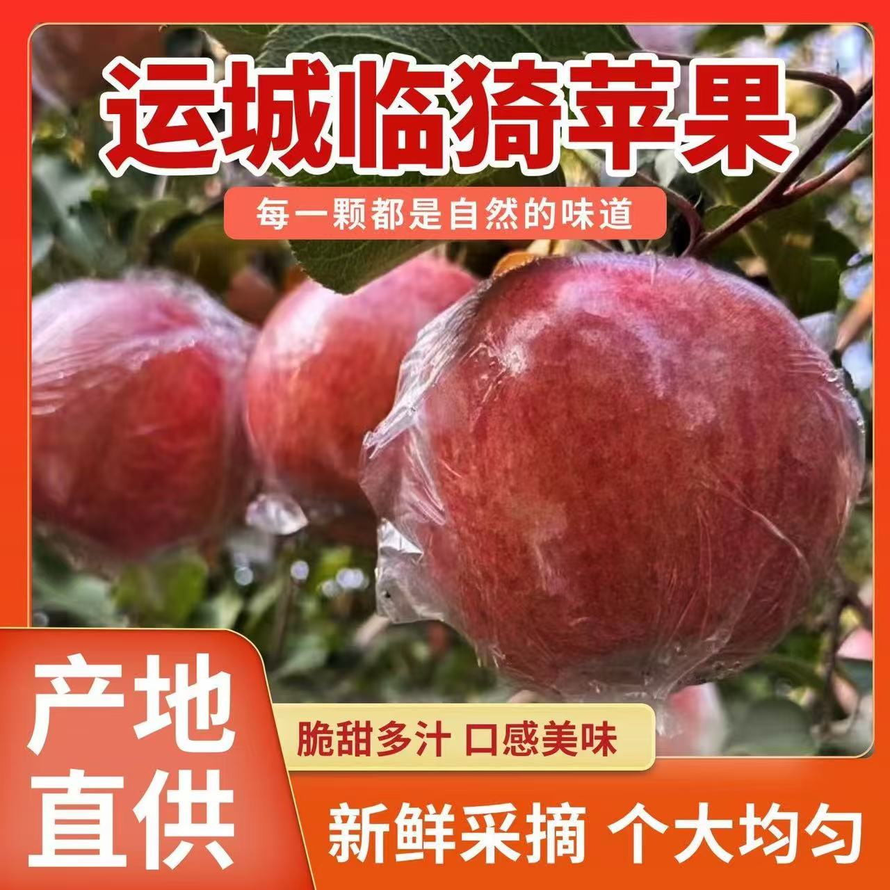 【自家果园十斤装】冰糖心丑苹果坡上红富士苹果脆甜多汁现摘现发