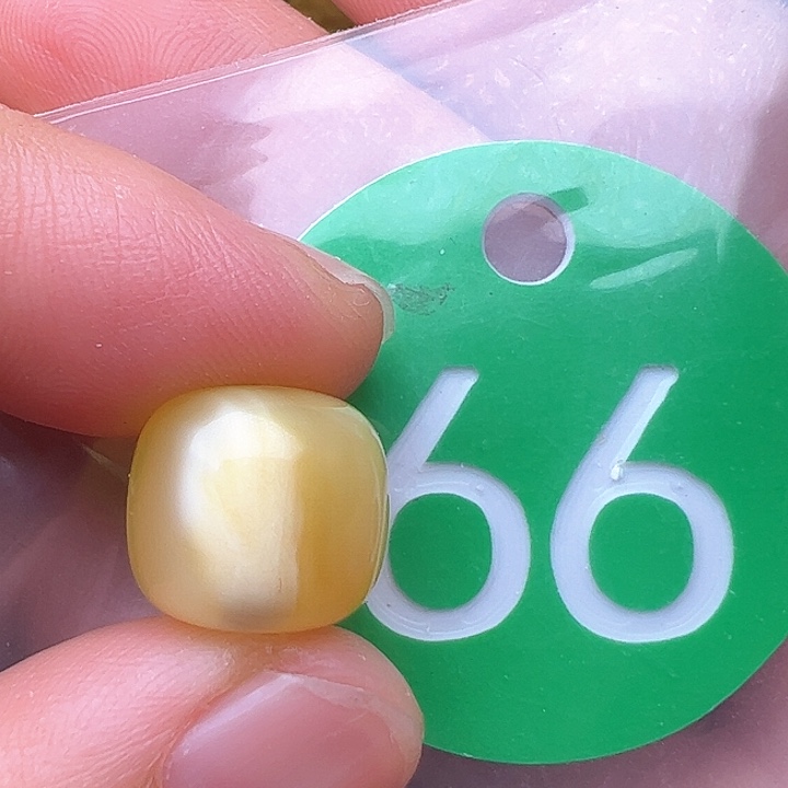 蜜蜡裸石未镶嵌花粉12.5m m