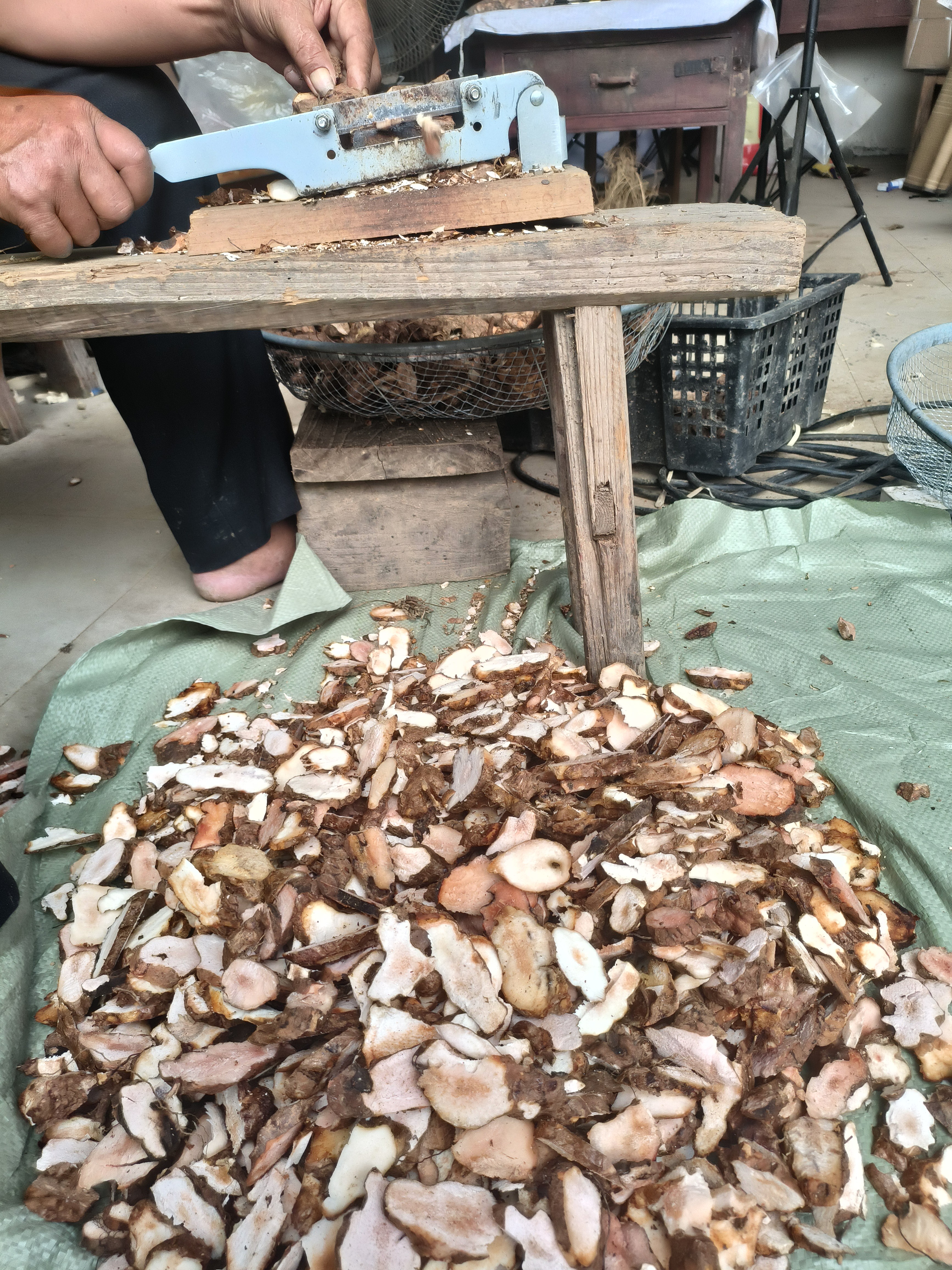 广东粤北深山土茯苓