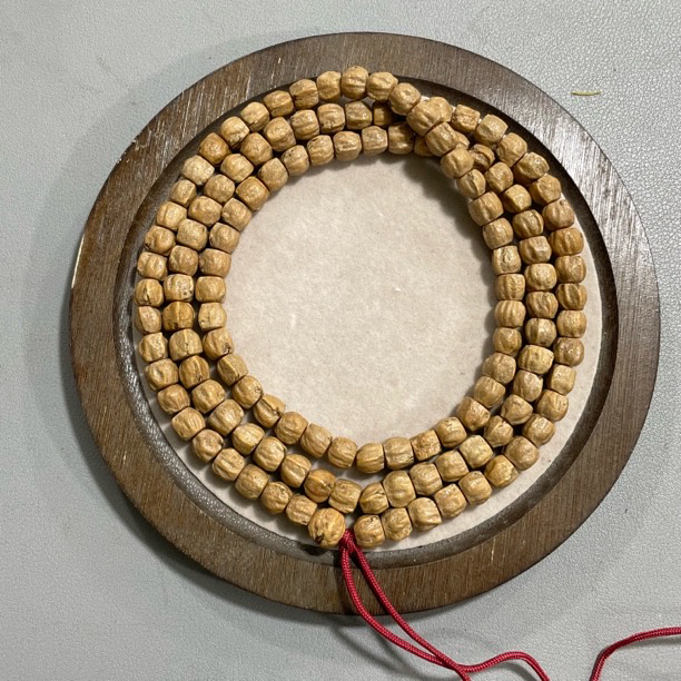 BX02柏香籽长串（多样性发其一）