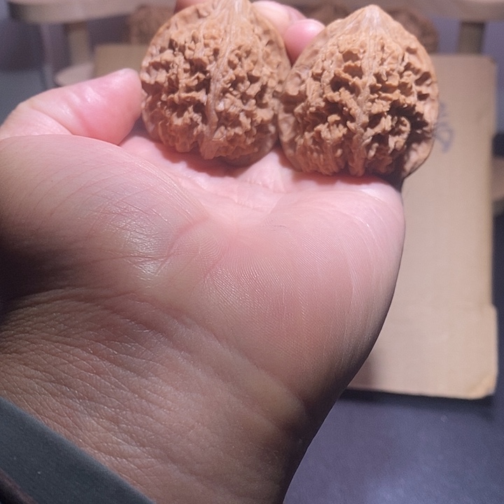 核桃手串/手链43满天星