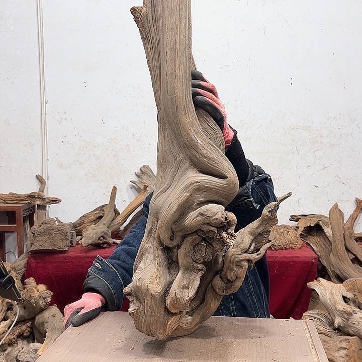 柏木华*华我们都是好孩子