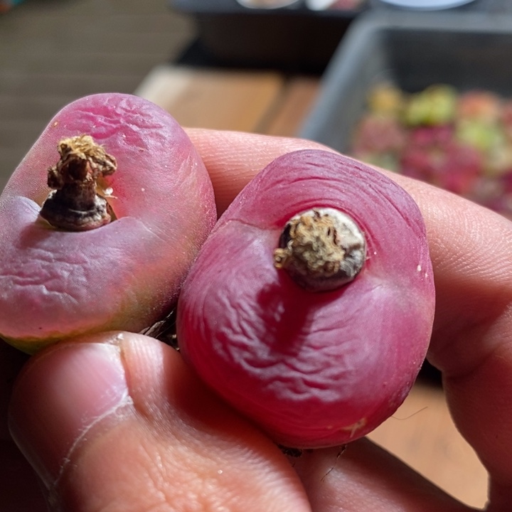 22239一组一组一组