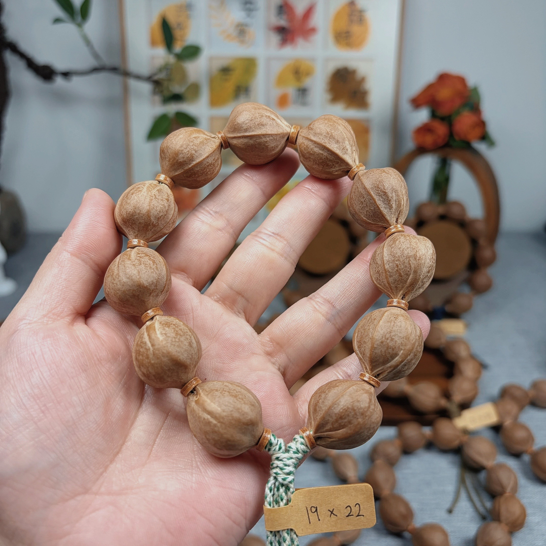 梅林铁核三花19x22橄榄核