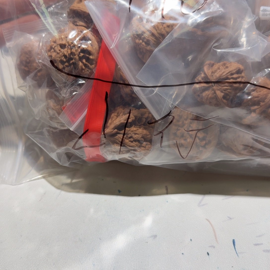 山***行文玩核桃把件大礼包 不退不换