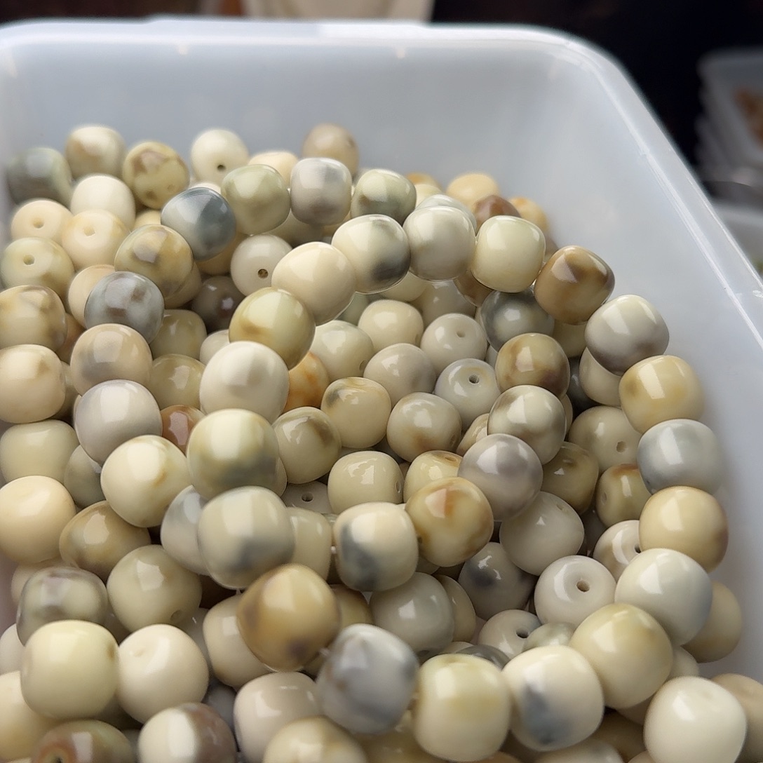 吊坠菩提根/象牙果50 颗霉豆腐 13 桶
