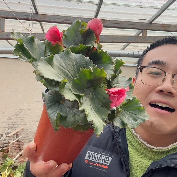 ****梦完全开放风暴粉➕保温