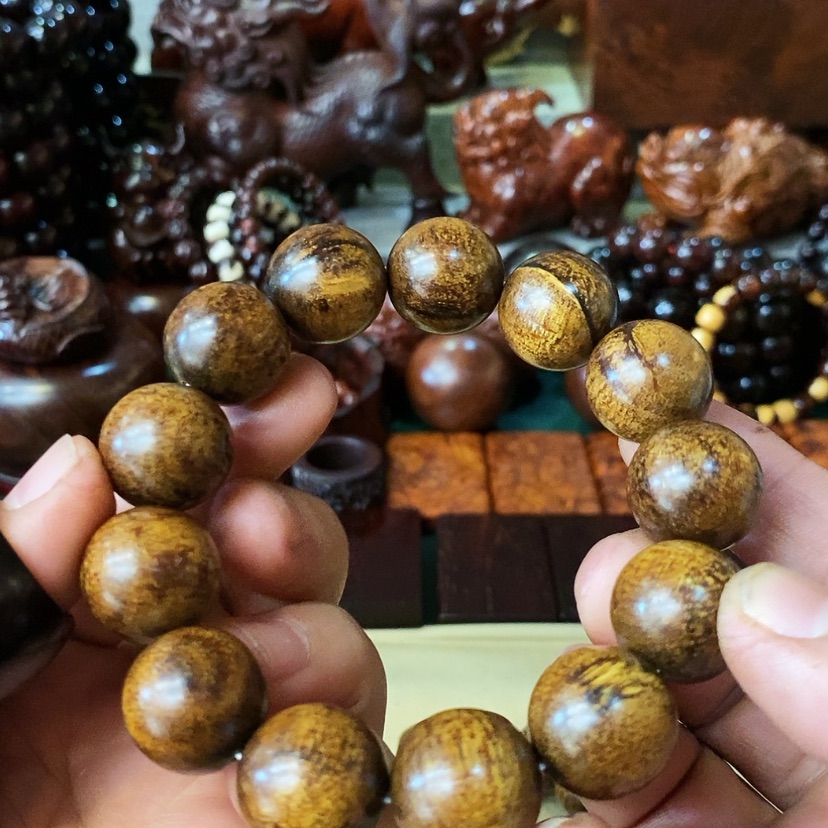 【闪购商品】贡木多样性发其一1.8