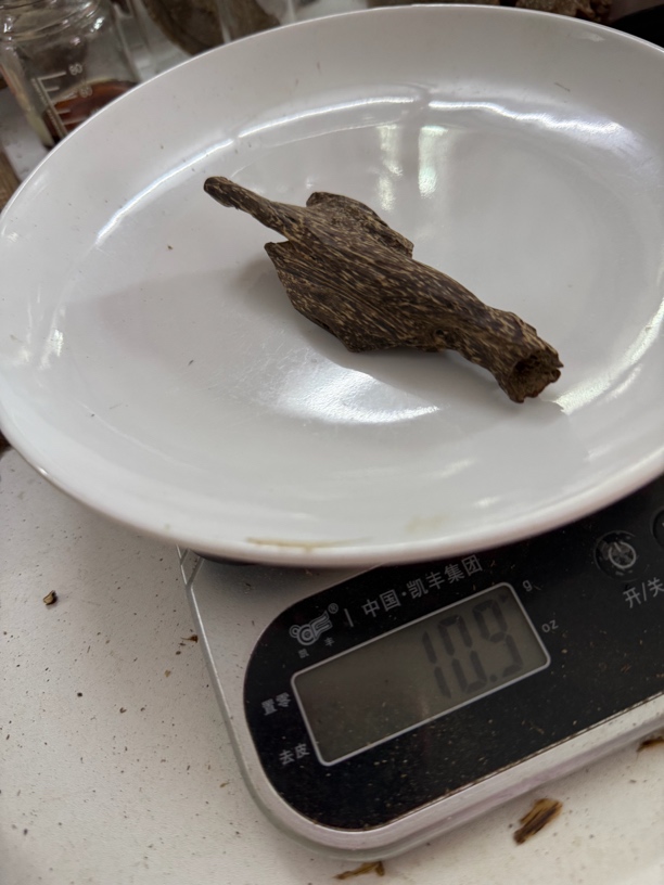 芽庄树心虫漏沉水 沉香碎料 268一克