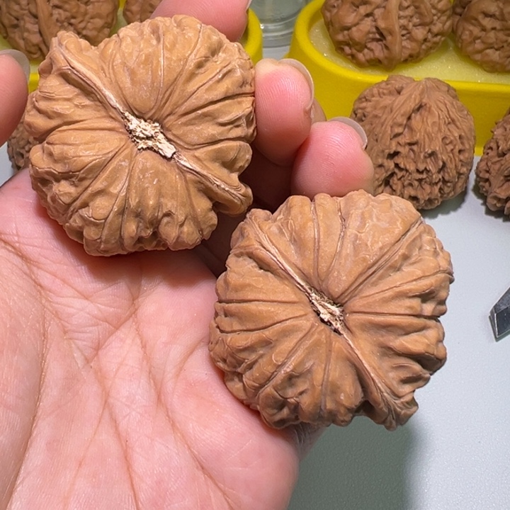 把件文玩核桃边45肚44南瓜墩