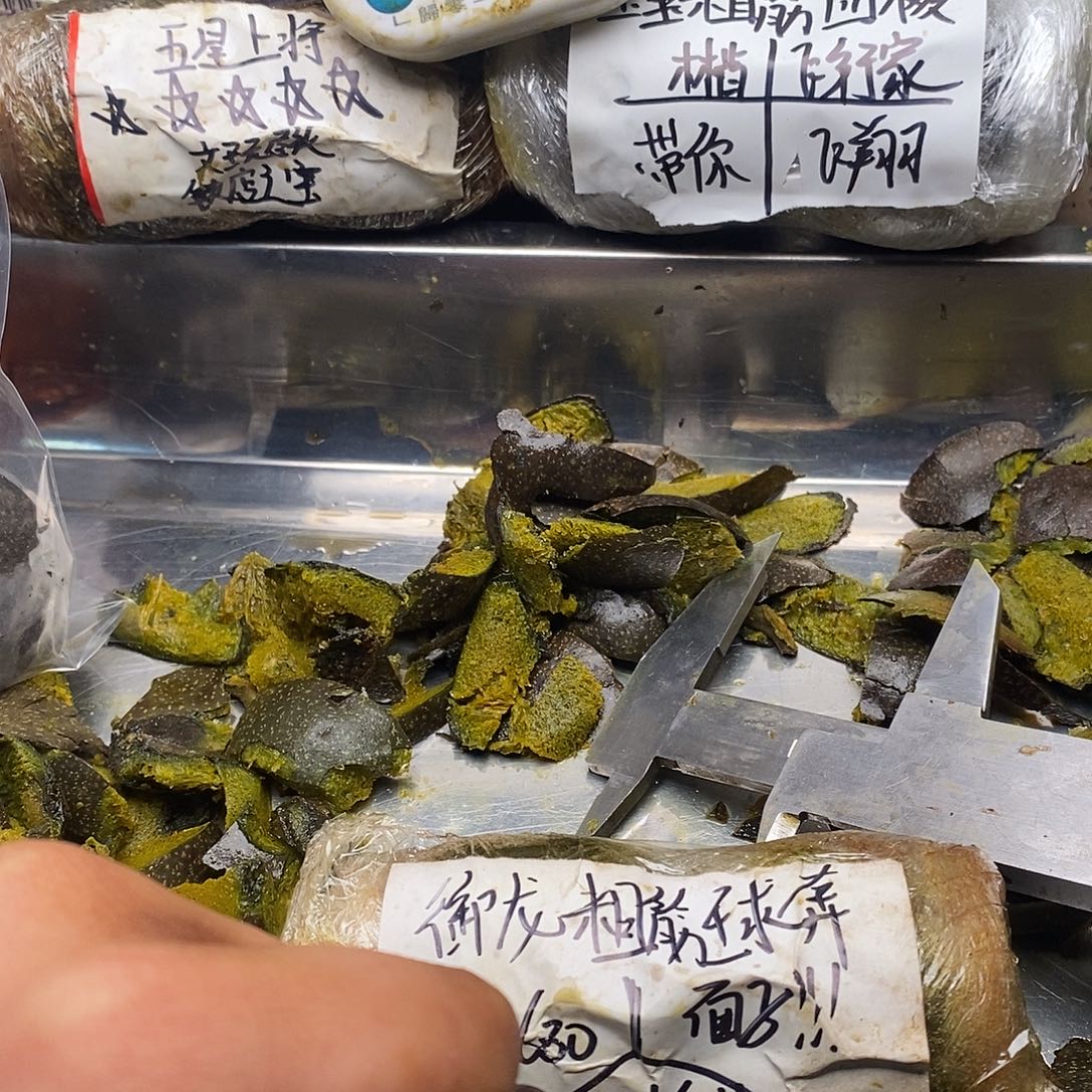 踏***gjkjkmnnknn把n姐姐文玩