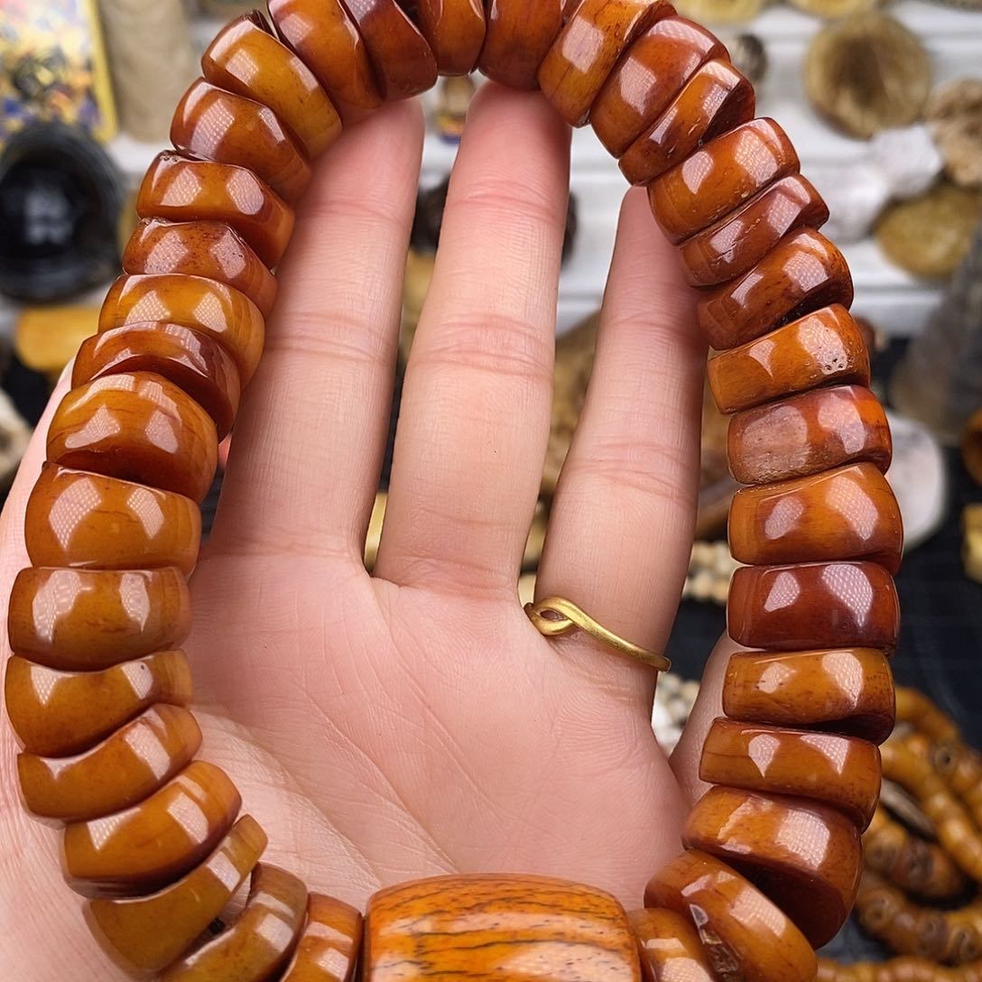 其他驼骨骆驼骨手持18