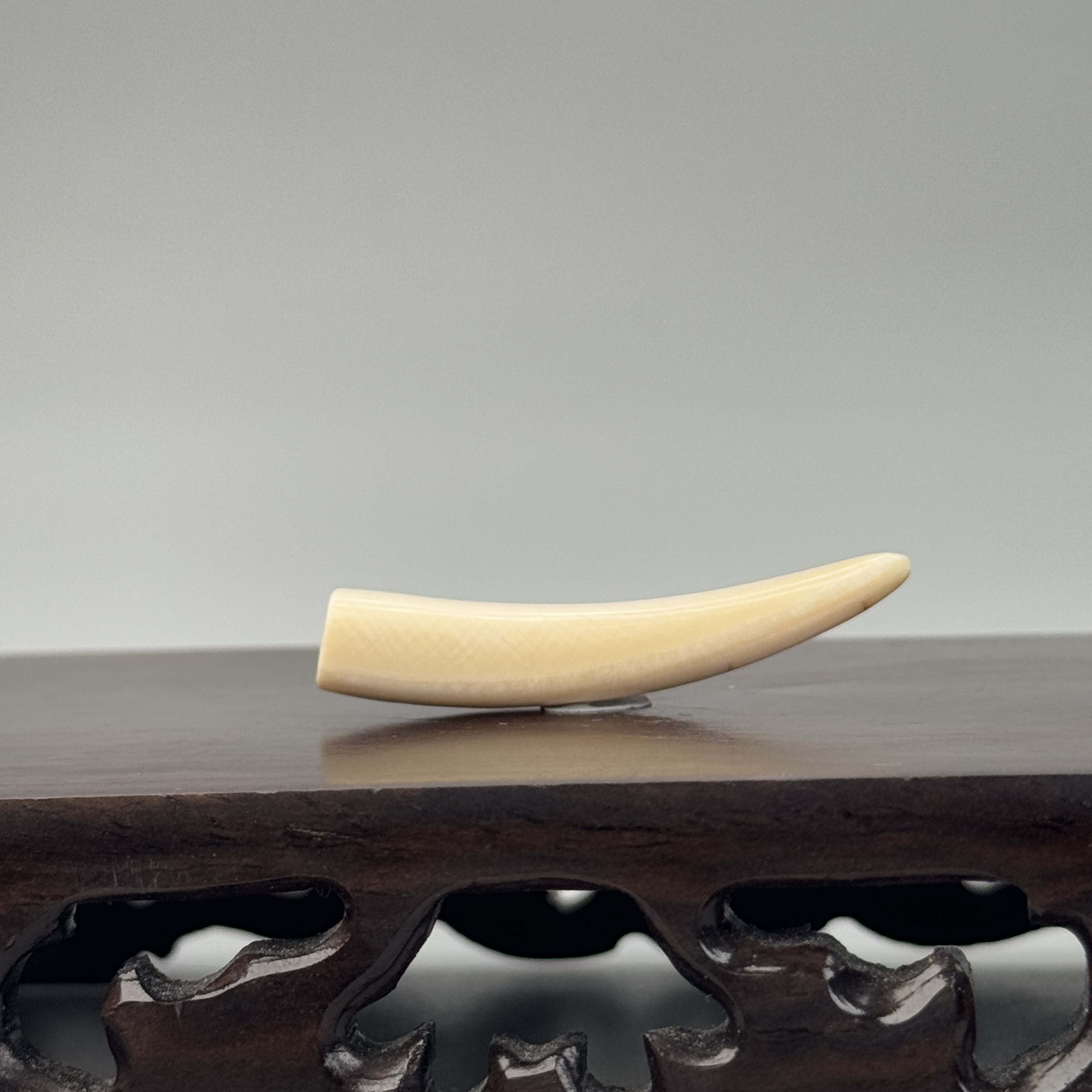 DEZHI/德志3.3g带皮牙尖43*10*7mm猛犸牙默认打孔配吊坠绳K338