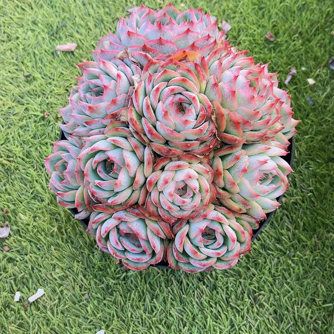 记***?记忆微笑989999999