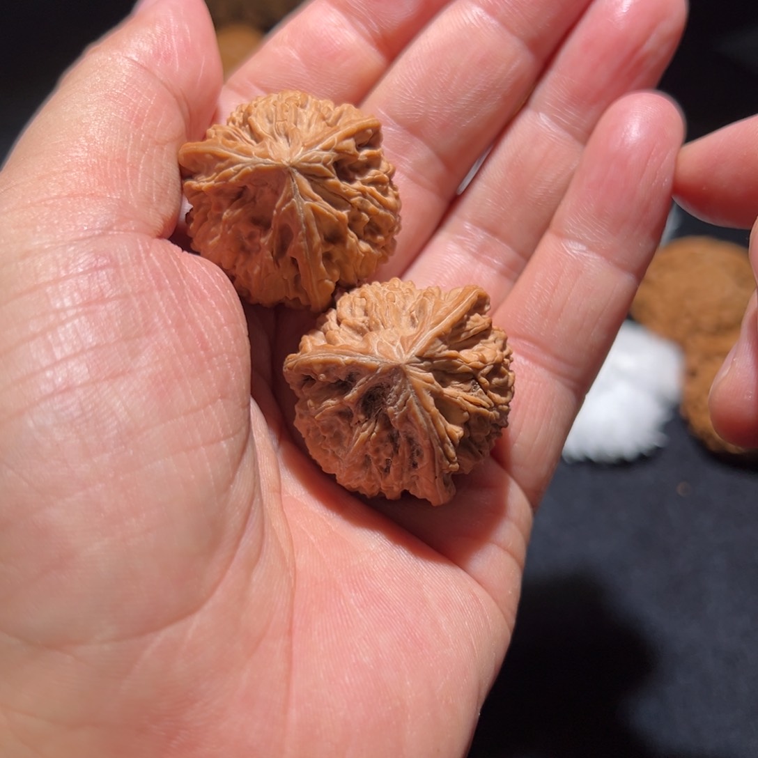 文玩核桃把件玉龙手捻