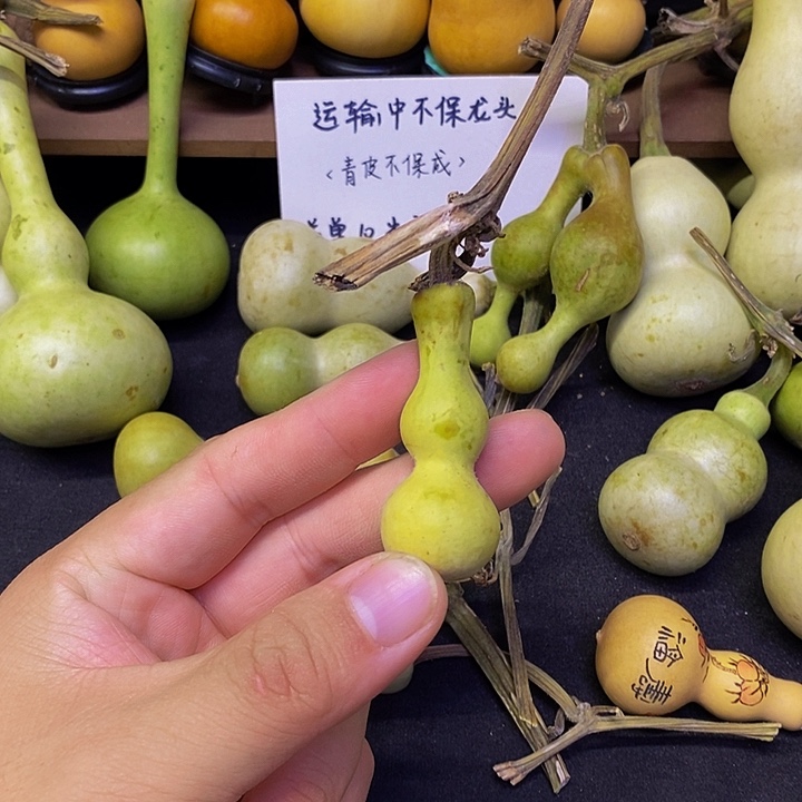 四**光长嘴哈哈哈哈哈哈哈哈哈哈好