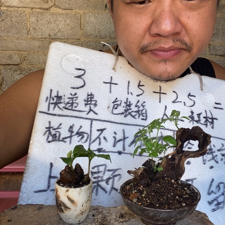 退款拉黑一物一拍2