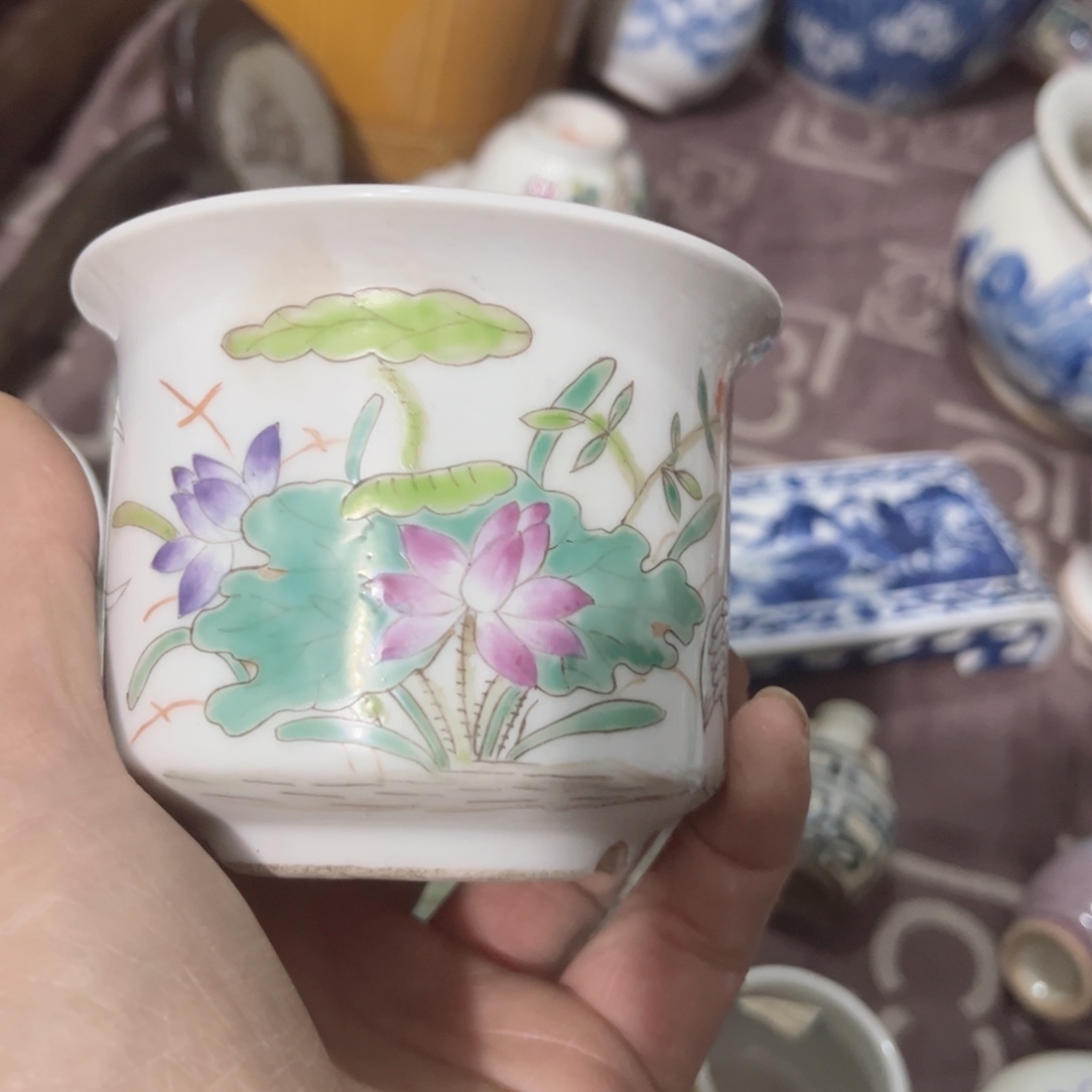 碟花盆一个一个一个