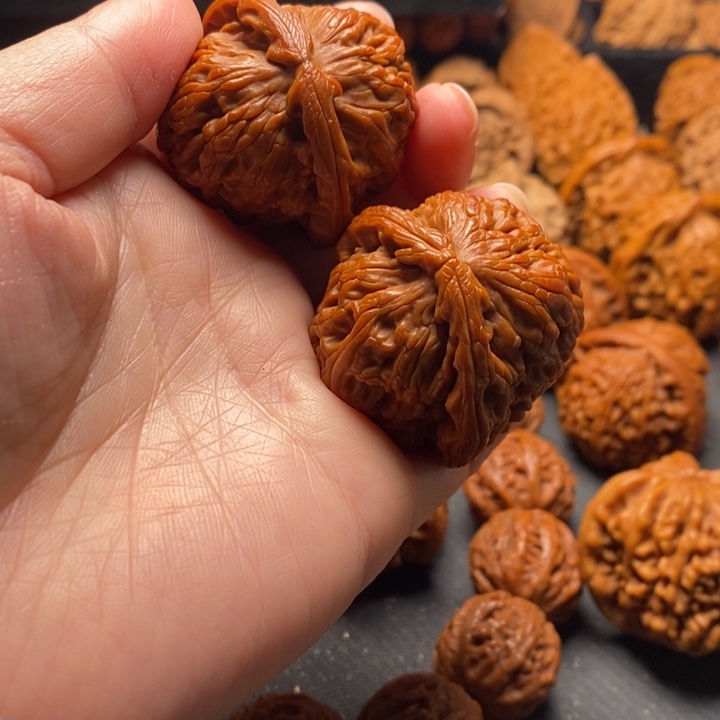 秦岭野生1111111111