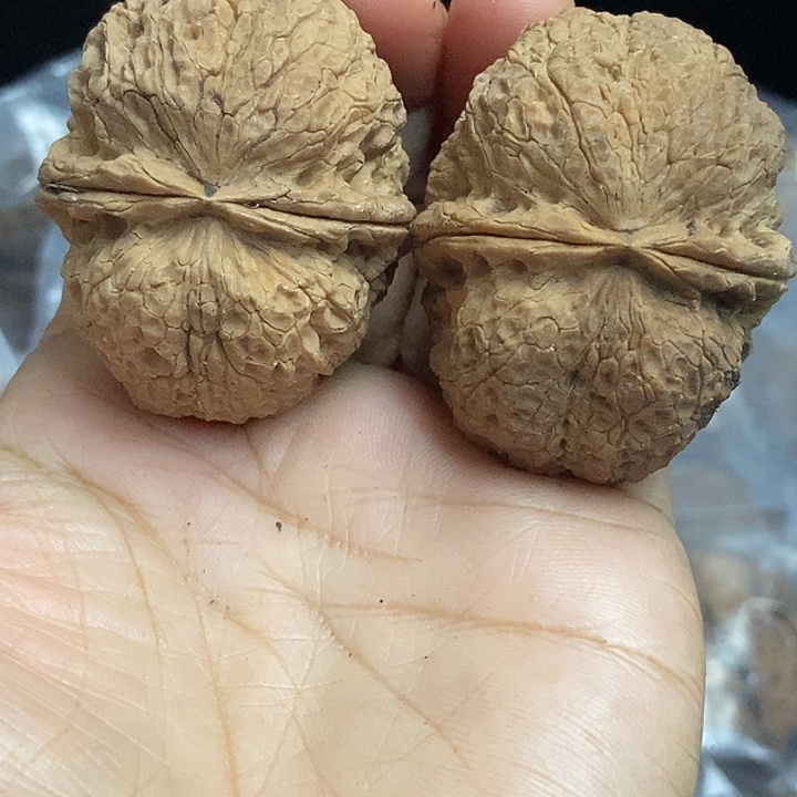 把件文玩核桃云南铁核桃基地60