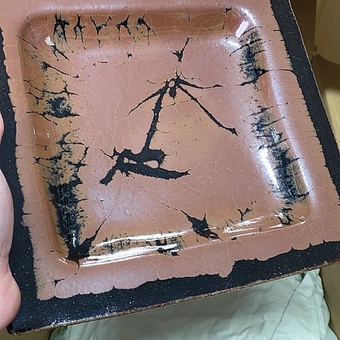 紫砂哈哈哈哈哈哈哈哈哈哈