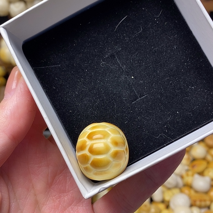 努***9菩提根/象牙果吊坠