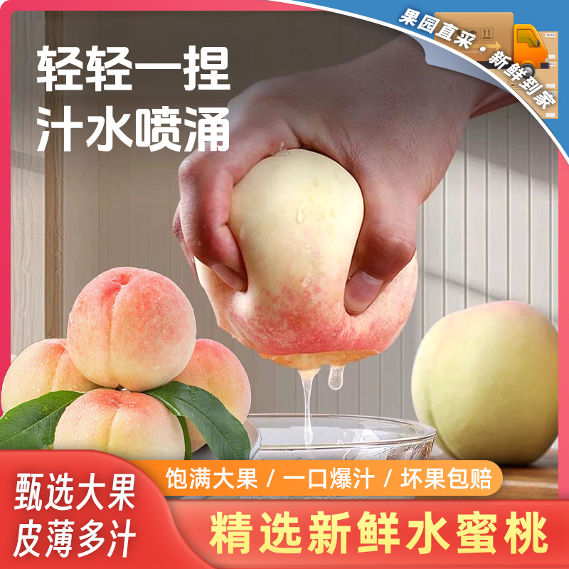 【919邮政农品节】鲜嫩新鲜采摘精品水蜜桃现摘现发脆甜可口多汁桃
