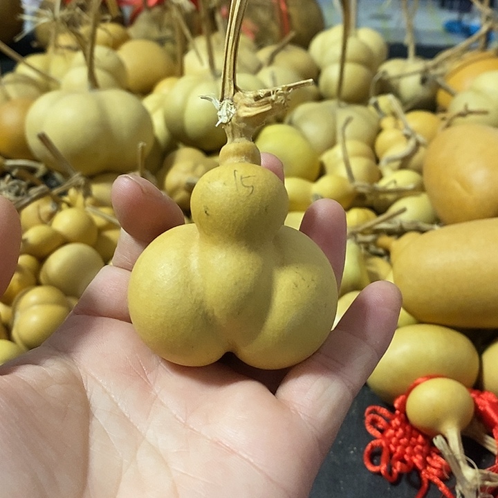 葫芦的颜色很好看