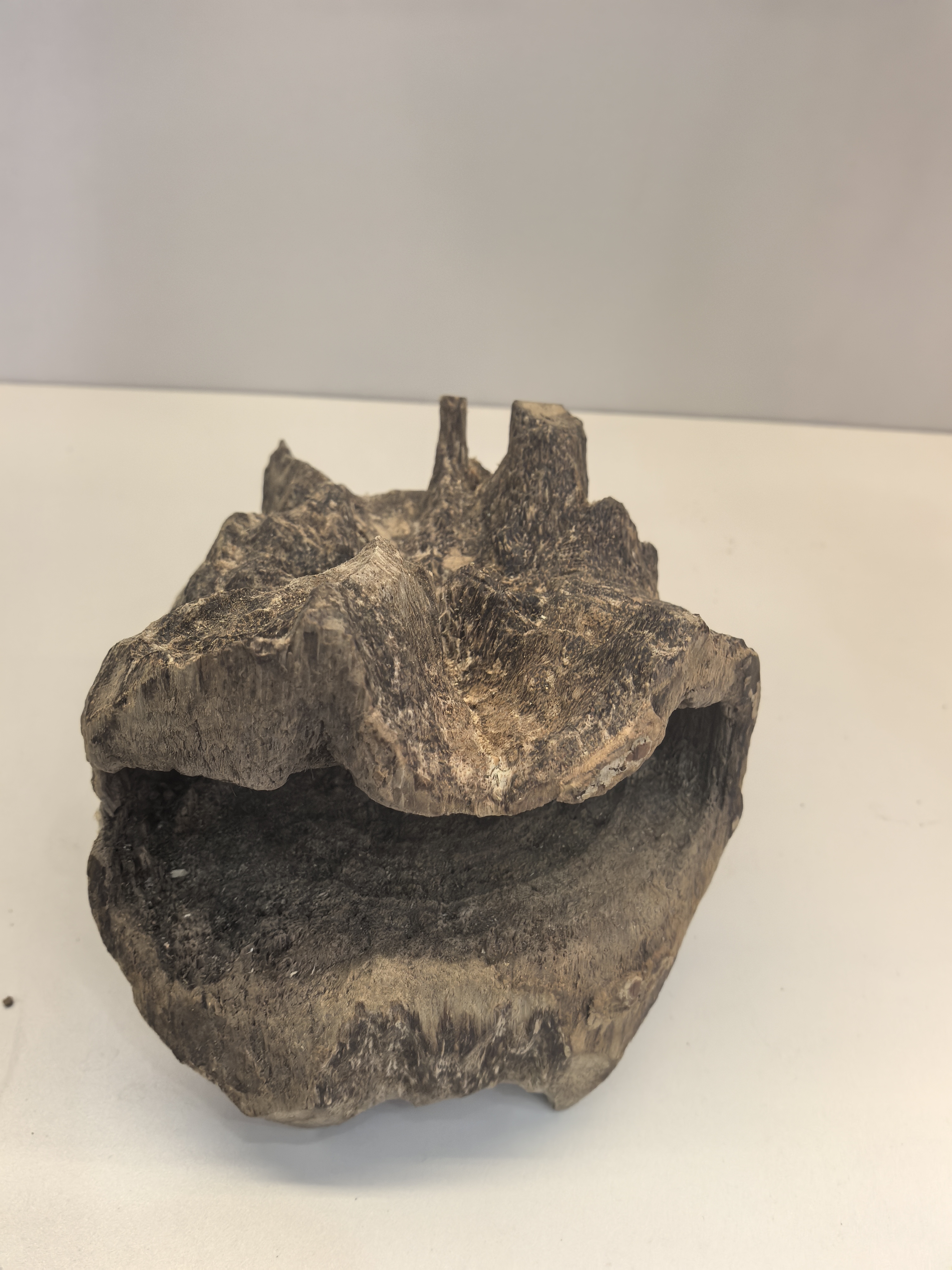 沉香棋楠摆件锯口板头 77g➕多样性发一