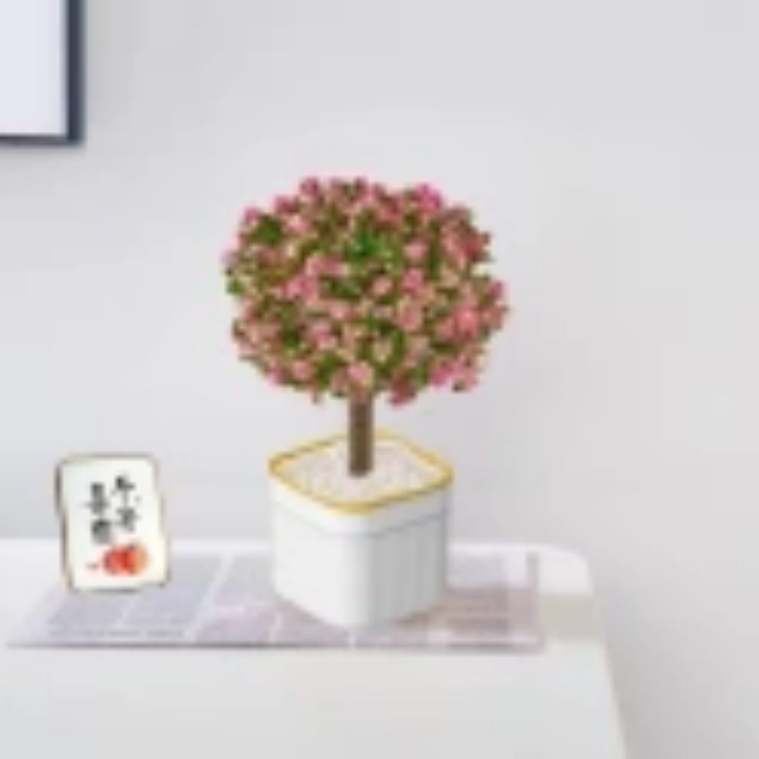 【新疆包邮】金枝玉叶老桩盆栽植物室内大株肉肉花卉新手好养