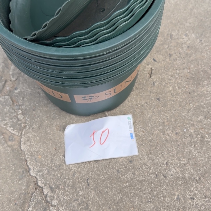 编号是50号的50号的花盆