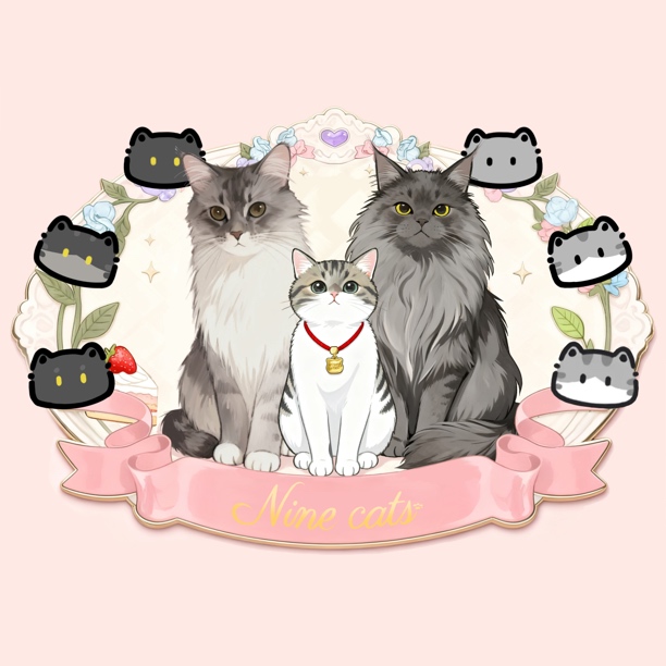 九只猫宠物盲盒（可自选）