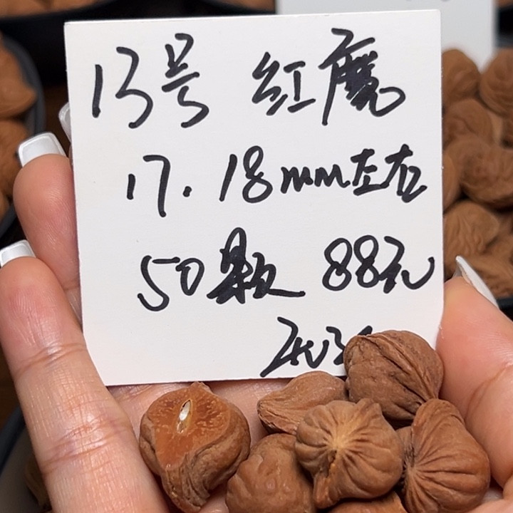 木质类雕刻料肚卡17-18 50颗