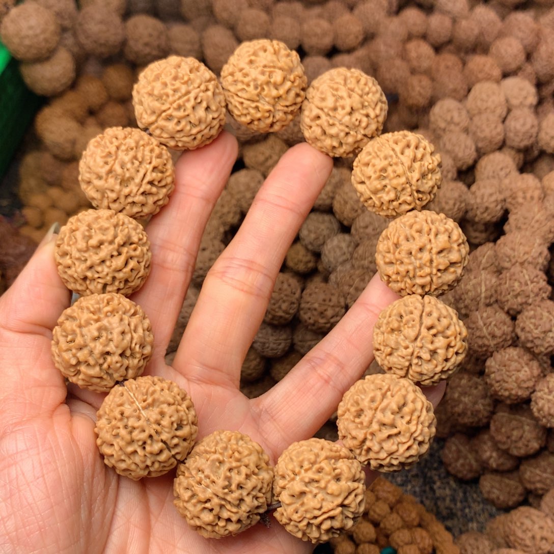 木7瓣爆肉卡24尺寸，35号