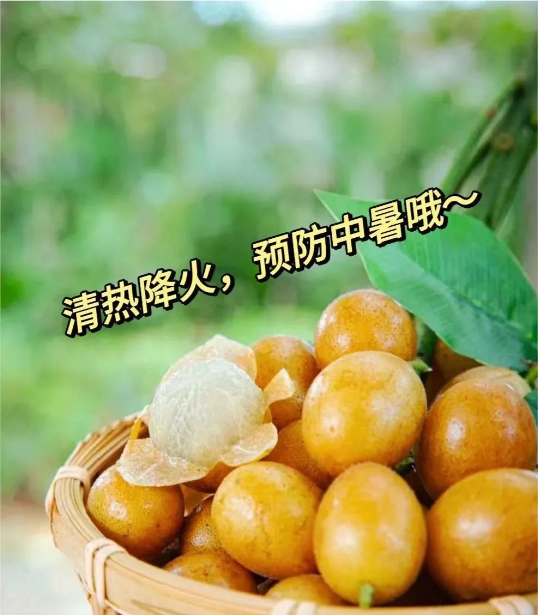 新鲜广东鸡心黄皮果酸甜应季孕妇水果