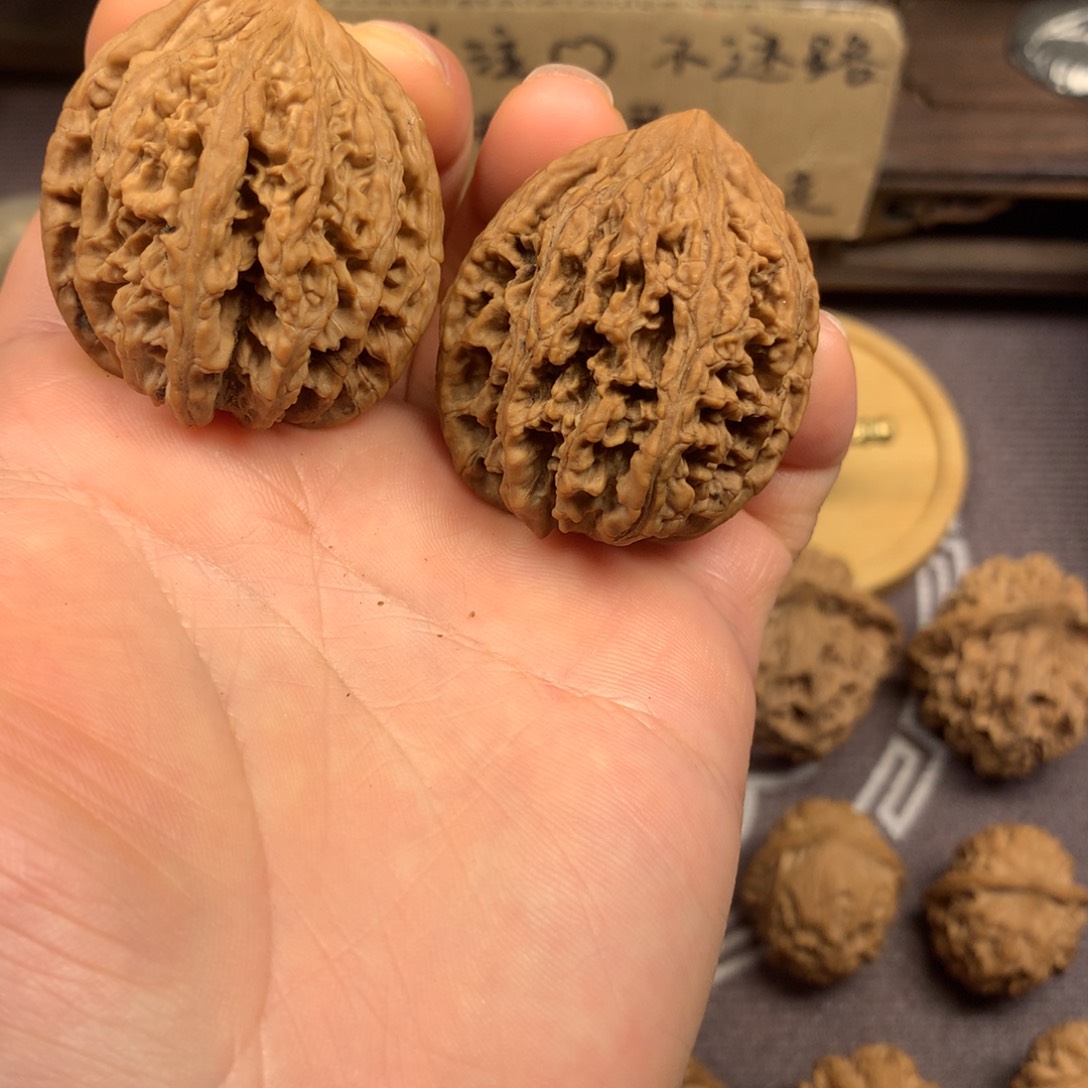 大*秦岭山脉和青山带组成山脉