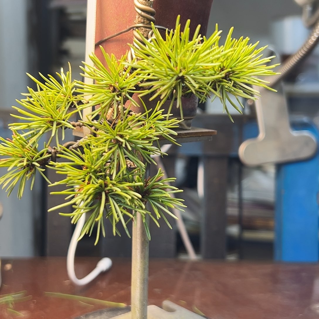 健健康康平平安安快快乐乐